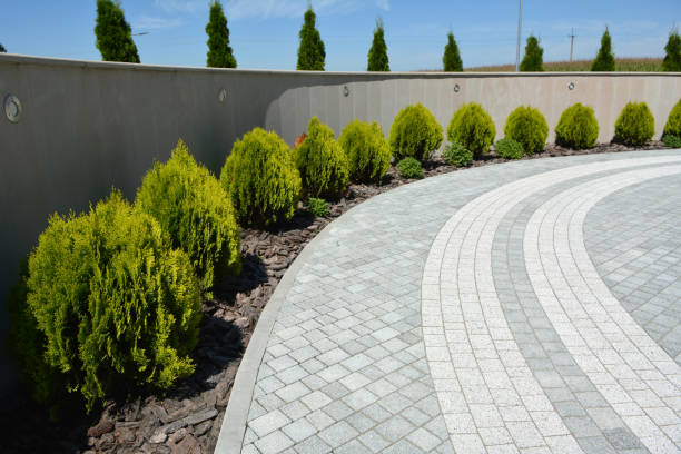 Best Affordable Driveway Pavers  in Deephaven, MN